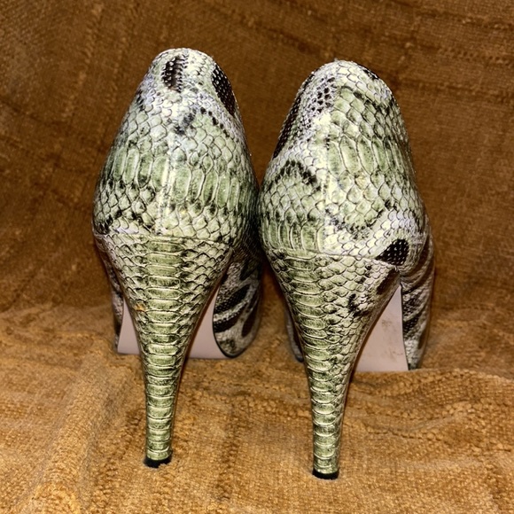 Reptile - Picture 4 of 5